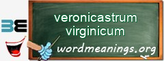 WordMeaning blackboard for veronicastrum virginicum